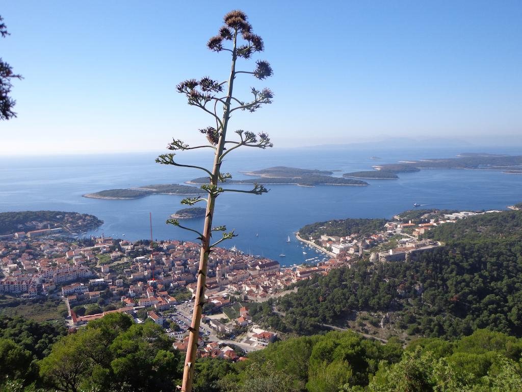 Ana Tudor Apartments Hvar Town Dış mekan fotoğraf
